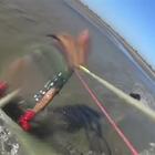 Il terribile attacco di un pitbull a un kitesurfer