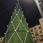 Torino, ironia social per l'albero di Natale da 90mila euro: Zerbino finisce in Consiglio