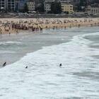 Squalo attacca un bagnante in mare: morto a 55 anni in Australia, choc in spiaggia