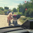Berlino, gira completamente nudo in scooter, fermato dalla polizia si giustifica: «Fa troppo caldo»