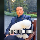 Berlusconi su TikTok: «È il figlio di Dudù, via di mezzo tra un angelo e un bambino»