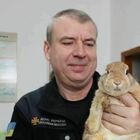 Il coniglio Lucky salvato dalla guerra in Ucraina: dopo i bombardamenti di Kharkiv diventa mascotte dei vigili del fuoco