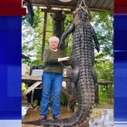 Nonna uccide alligatore in Texas