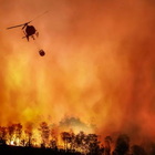 Incendi, migliaia di ettari a rischio nell'estate 2022