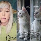Stati Uniti, influencer paga 25mila dollari per clonare il suo gatto defunto: «Un atto d'amore»