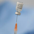 Vaccino, svelato il contratto con Pfizer: «Nessuna responsabilità in caso di danni». Ecco il prezzo a dose
