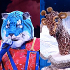 Il Cantante Mascherato, svelato chi c'è dietro Tigre Azzurra e Giraffa: qualcuno aveva indovinato