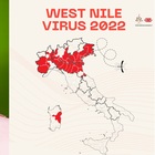 West Nile, in Italia 94 casi e 7 morti