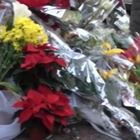 Corso Francia, fiori e messaggi per Camilla e Gaia sul luogo della tragedia
