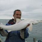 Va a pesca vicino all'"Isola dei dinosauri" e trova un rarissimo squalo albino, totalmente bianco