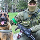 Ucraina, cane da guerra abbandonato