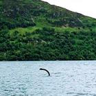 Mostro di Loch Ness, prelevati campioni di dna nel lago: ecco cosa potrebbe essere