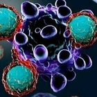 Tumori, il vaccino universale anti-cancro