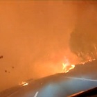 Caldo record e incendi: l'Europa brucia. In fumo un'area vasta come la Val d'Aosta