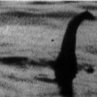 Mostro di Loch Ness, svelata la verità sulla sua esistenza: «Ora abbiamo la certezza»