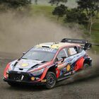 Tänak (Hyundai) subito al comando del Rally Nuova Zelanda, terzultima tappa del mondiale. Rovanperä (Toyota) corre per il titolo