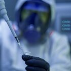Un nuovo vaccino universale anti-Covid: la speranza da uno studio australiano. «Bloccherà tutte le varianti»