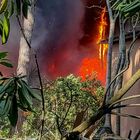 Incendio in un camping a Castel Fusano: bungalow distrutti