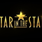 Stasera in tv, Star in the Star su Canale 5: chi sono i concorrenti in gara e quali personaggi inter