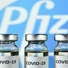 Pfizer, dopo 6 mesi il vaccino «previene al 97% forme gravi di Covid»: il nuovo monitoraggio