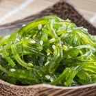 Spirulina, l'alga miracolosa che riduce la fame e protegge dal cancro
