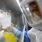 «Coronavirus, nessuna prova contro il laboratorio di Wuhan»: fonti 007 smentiscono Trump